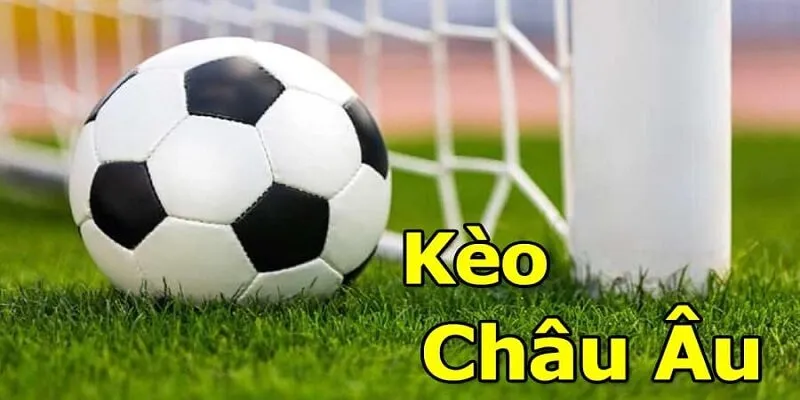 Kèo Châu Âu Và Bí Quyết Chiến Thắng Từ Cao Thủ